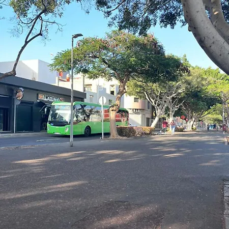 Acogedor Piso En 公寓 *